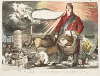 The Cats Let Out of the Bag or the Rats in Dismay